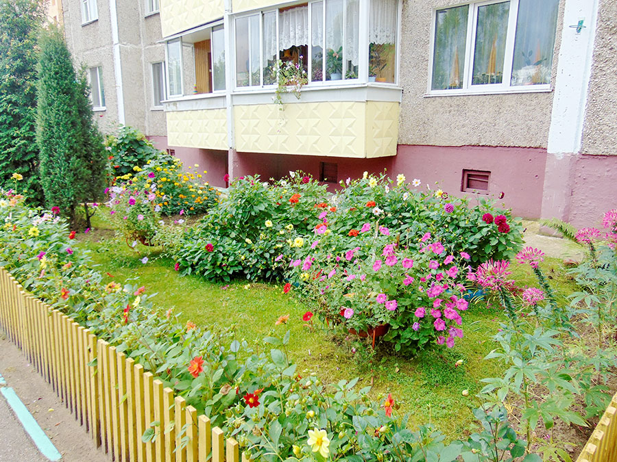 Во всех жилых домах Новополоцка созданы домовые комитеты, фото-2