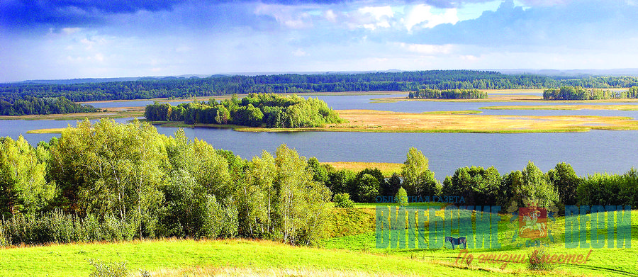 природа озеро поле витебская область