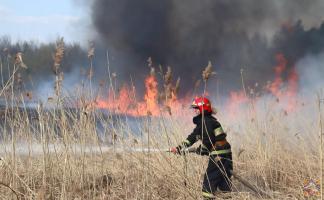 На территории Витебской области уже зафиксировано 6 фактов горения сухой растительности