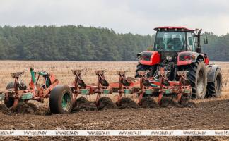 В Витебской области ранние яровые зерновые и зернобобовые посеяны на площади 1,07 тыс. га