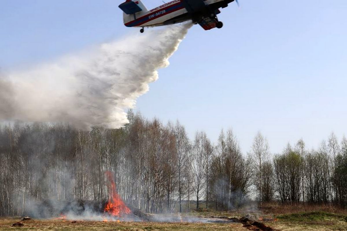 В Толочинском лесхозе прошел областной семинар по охране лесов от пожаров