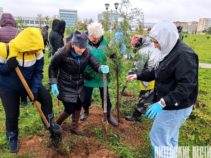 В парке 1000-летия Витебска в рамках субботника высадили 200 деревьев