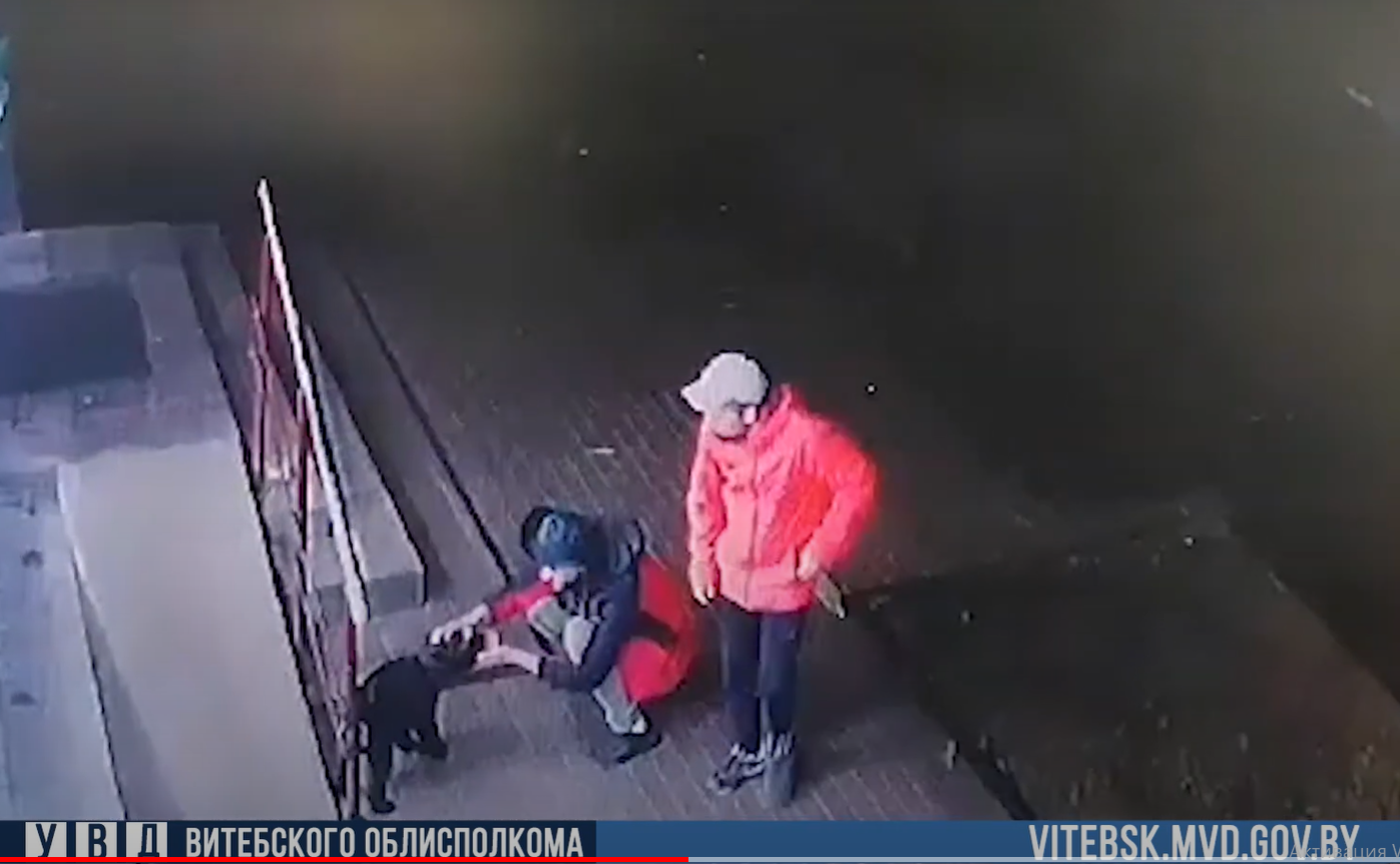 Пока жительница Новополоцка делала покупки, у неё украли породистую собаку