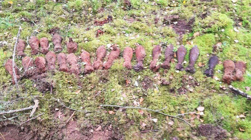В Поставском районе обнаружено 189 взрывоопасных предметов времен Первой мировой войны
