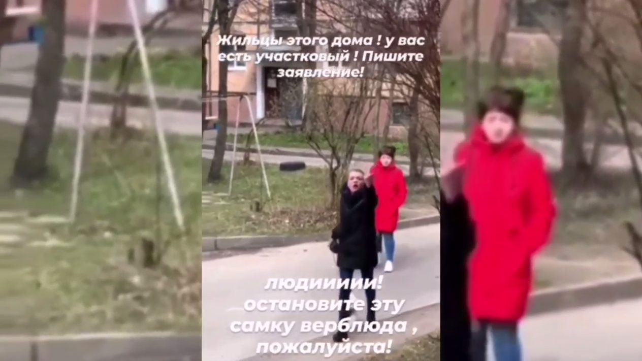 В интернете разошлось видео с избиением собаки в Витебске. В ситуацию вмешался Лукашенко