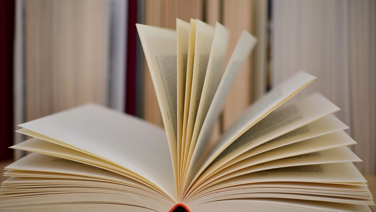 Бешенковичские библиотекари  помогают юным читателям окунуться в книжный мир родной земли 