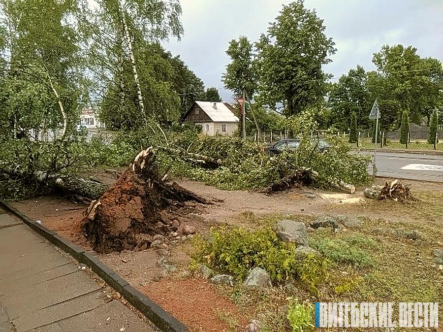 Энергетики оперативно восстановили электроснабжение более 200 населенных пунктов Витебской области