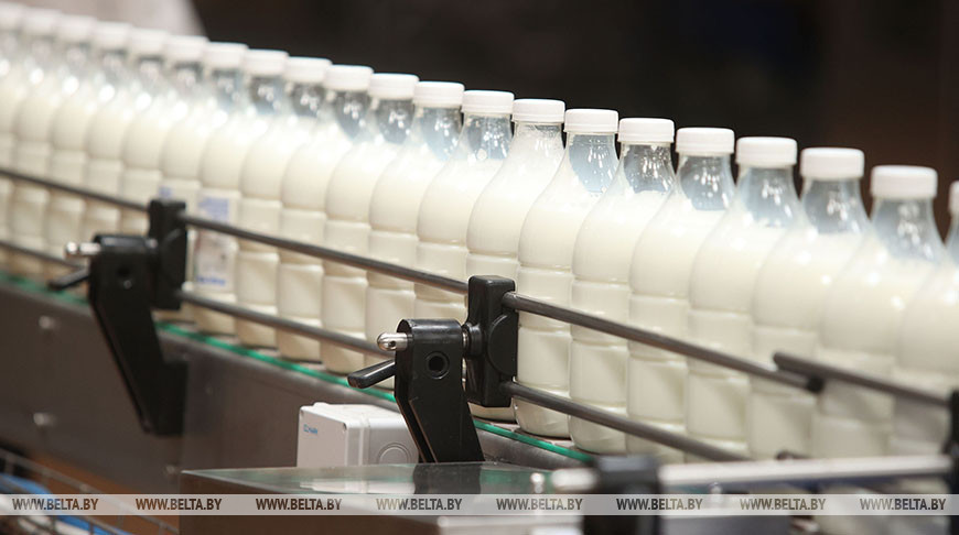 Экспорт сельхозпродукции в 2022 году достиг максимума за весь период независимости Беларуси