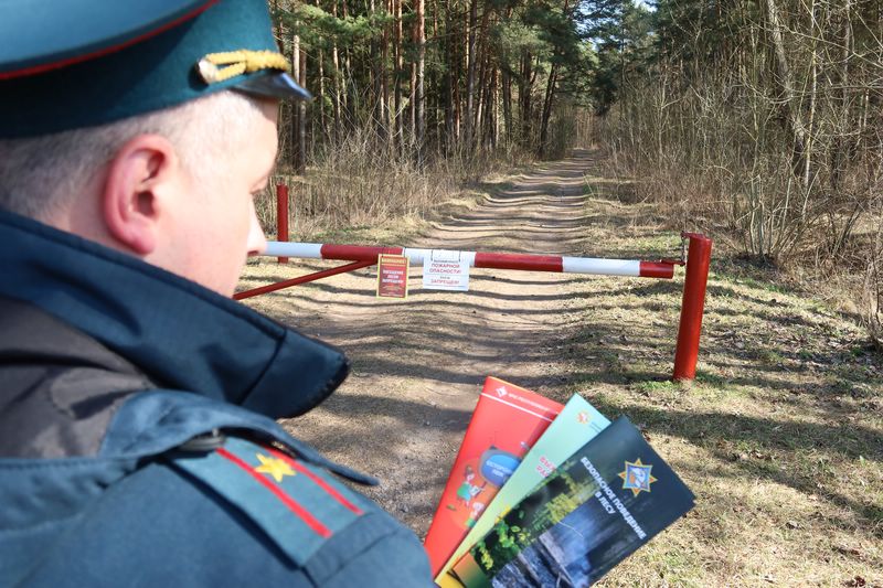 Операция «Зеленый щит»: в Витебской области усилили борьбу с палами травы и лесными пожарами