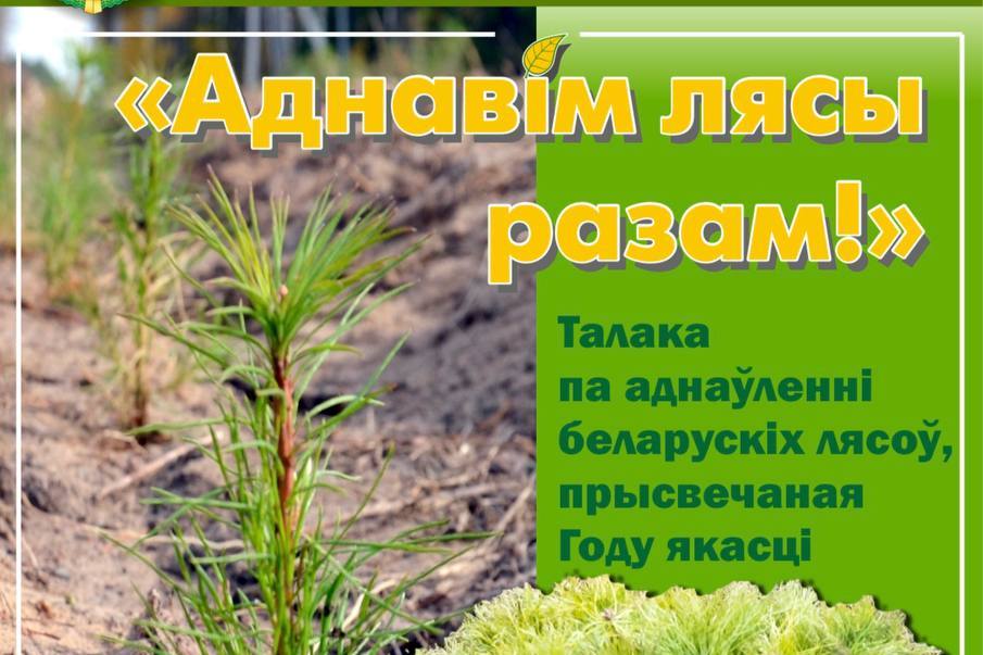 30 марта в Витебской области стартует добровольная акция "Аднавім лясы разам""
