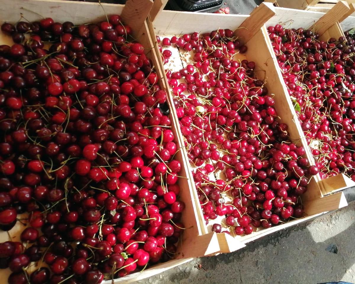 Изучаем  ценовой диапазон на сезонную продукцию на рынке в Витебске