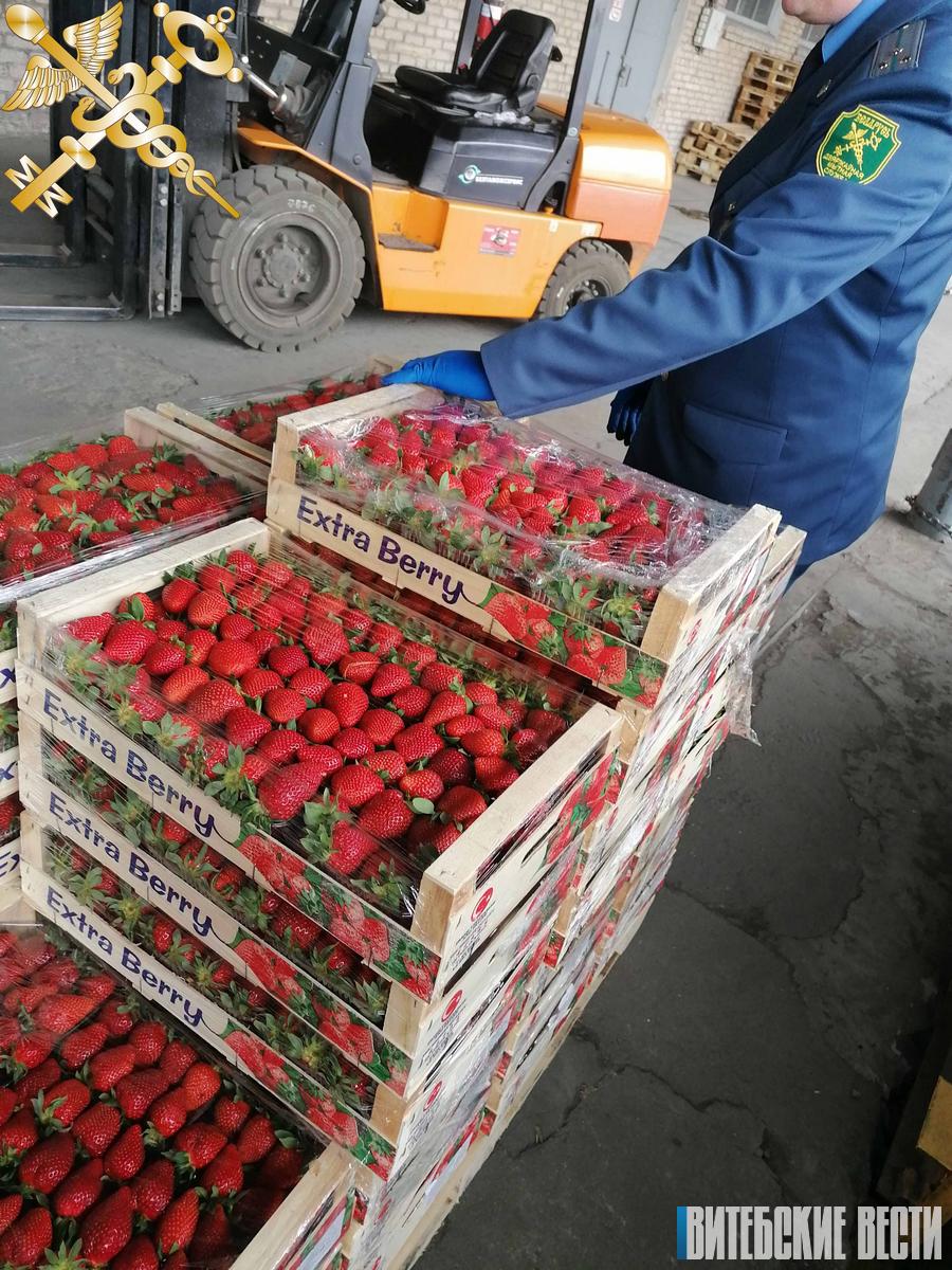880 кг клубники, манго, винограда и голубики намеревались ввезти в Беларусь без необходимых для этого документов