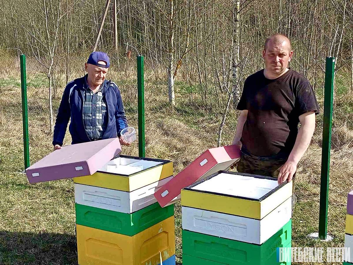 17,5 тыс. рублей на ульи и травы: в Шарковщине открывают социальную пасеку