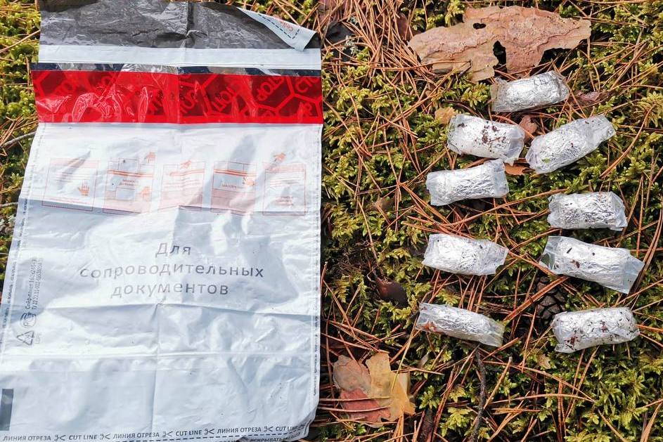 В лесном массиве Витебска обнаружено 40 закладок с особо опасным психотропным веществом