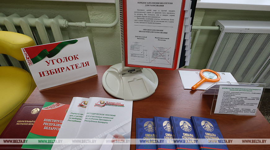 БКМО проведет опрос избирателей по методике exit poll на выборах Президента Беларуси 26 января
