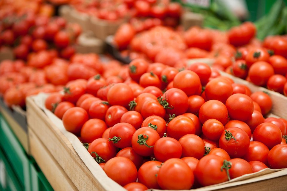 В Витебской области КГК изучил ценообразование на овощную продукцию в регионе
