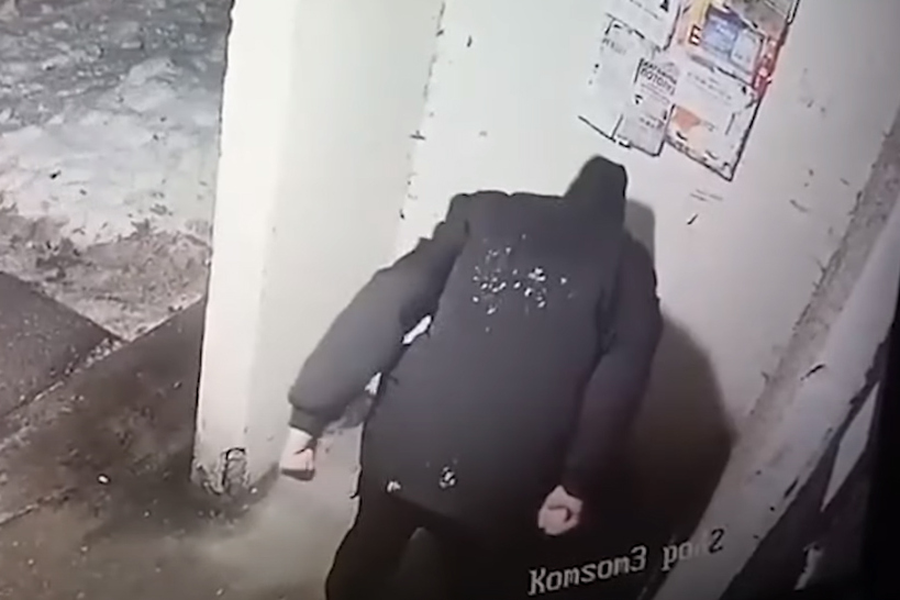 В Новополоцке мужчина жестоко избил овчарку