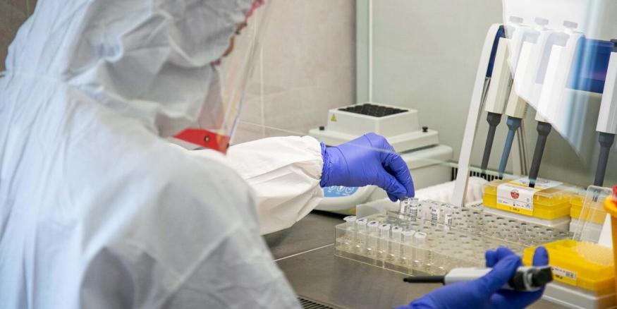 Сотрудник НАН Беларуси: белорусские ученые разработают комбинированный экспресс-тест для определения коронавируса и гриппа
