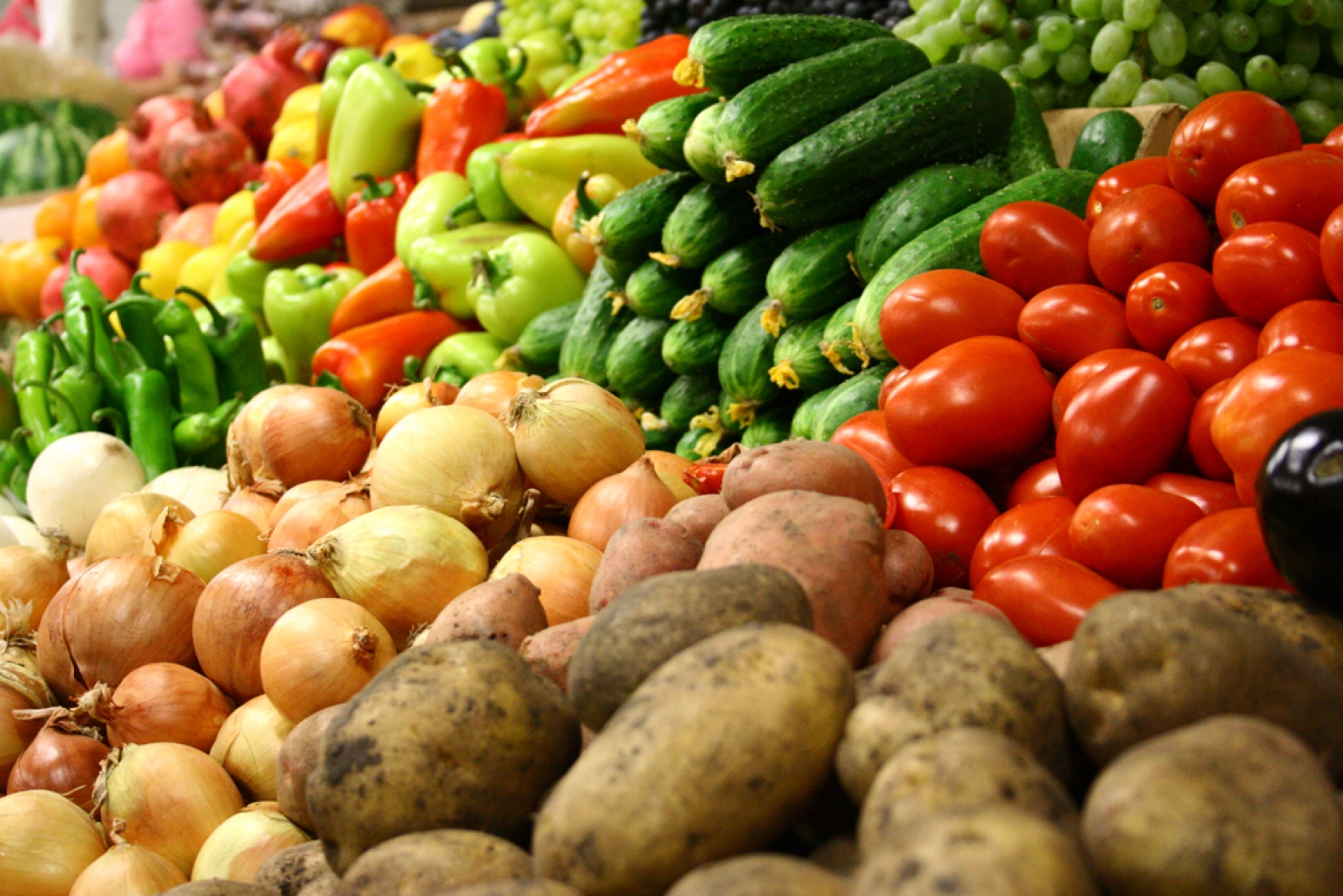КГК Витебской области предотвращено излишнее расходование бюджетных средств при закупке плодоовощной продукции