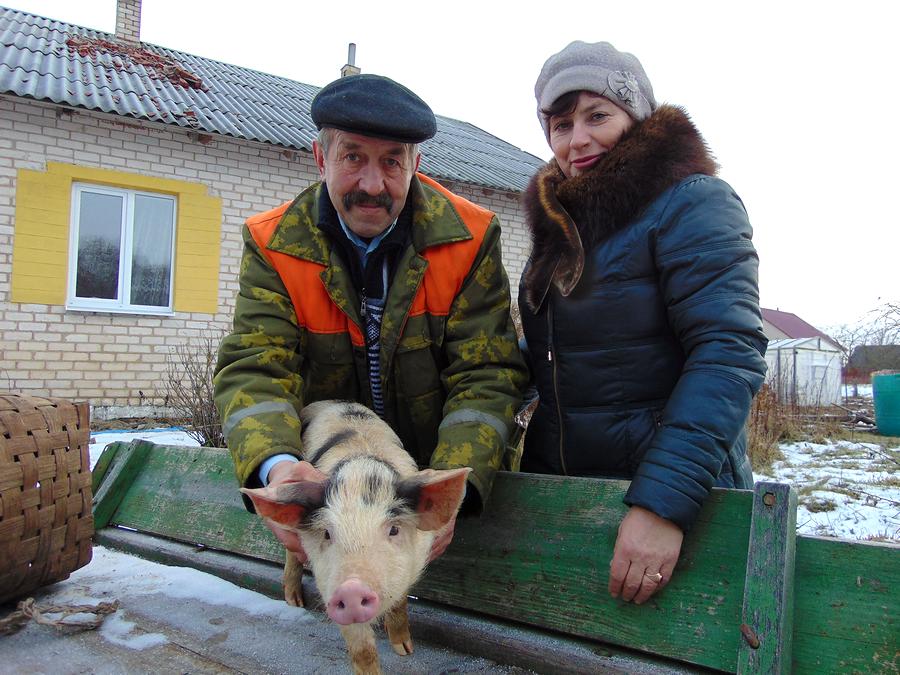 Новогодний символ в доме. Семья в Ушачском районе держит 11 поросят.