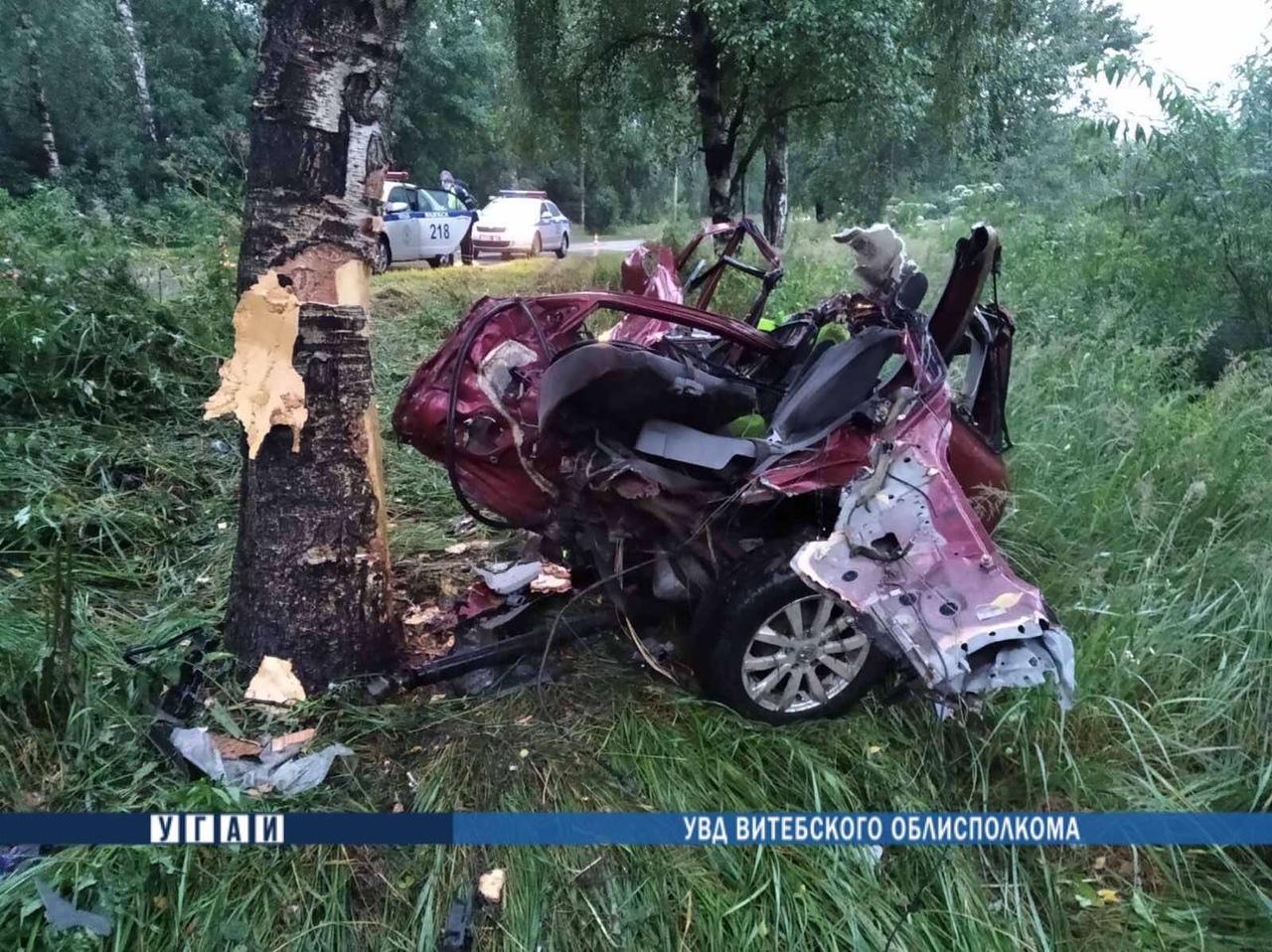 В Витебске легковушка влетела в придорожное дерево, погиб пассажир