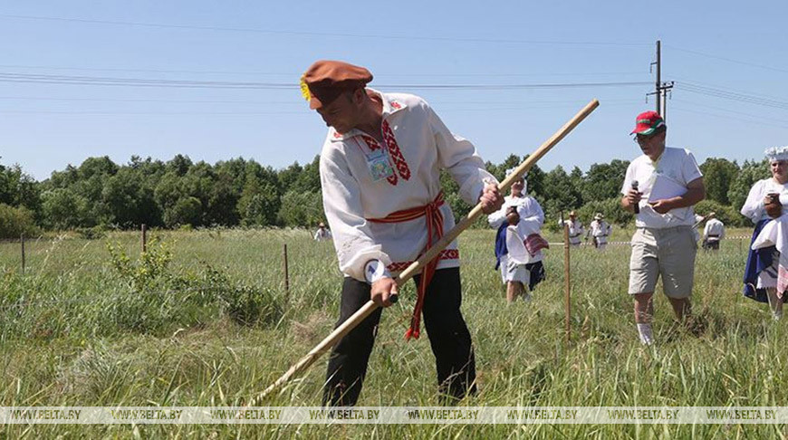 Конная выездка и мастер-класс по косьбе: как пройдет финал "Властелина села"