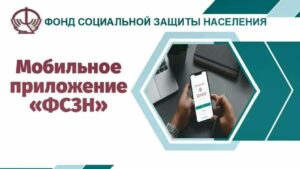 ФСЗН навстречу гражданам. Как узнать свой страховой стаж, пояснила специалист 