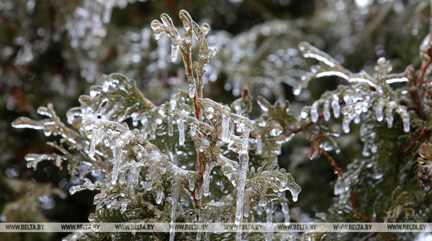 Погода в Витебске на 9 января: до -6°C, снег и слабая метель