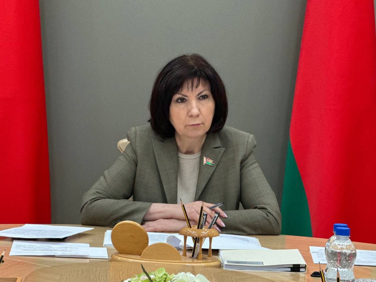Вопрос совершенствования законодательства о поддержке госорганизаций культуры. Глеб Лапицкий принял участие в заседании экспертного совета под руководством Натальи Кочановой 