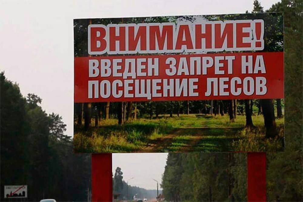 В 21 районе Витебской области запрещено посещать лес