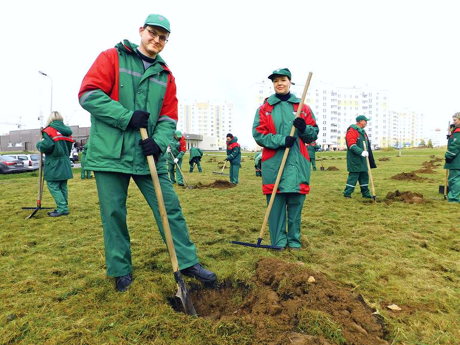 «Зеленую улицу» в Билево высадили сотрудники предприятия «Белоруснефть-Витебскоблнефтепродукт» в Витебске