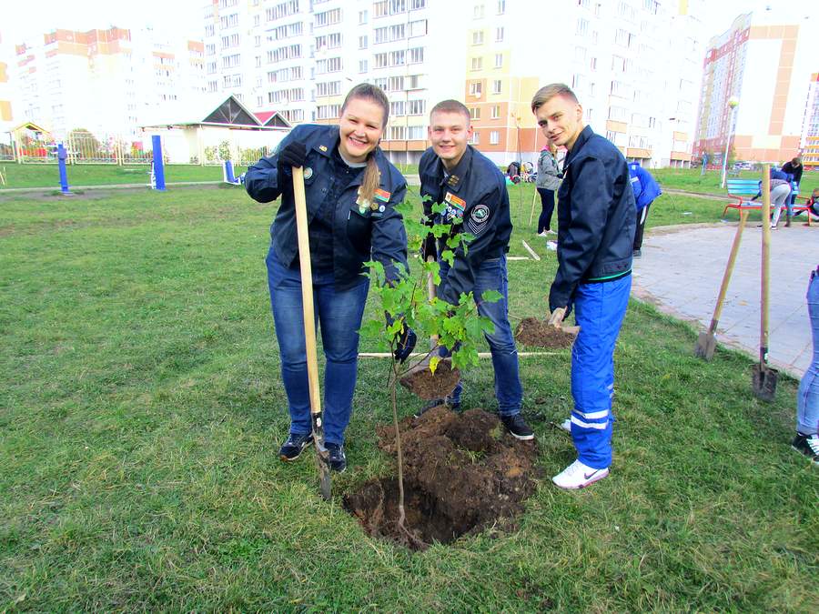 Сквер Молодежи появится в Витебске к 100-летию ВЛКСМ