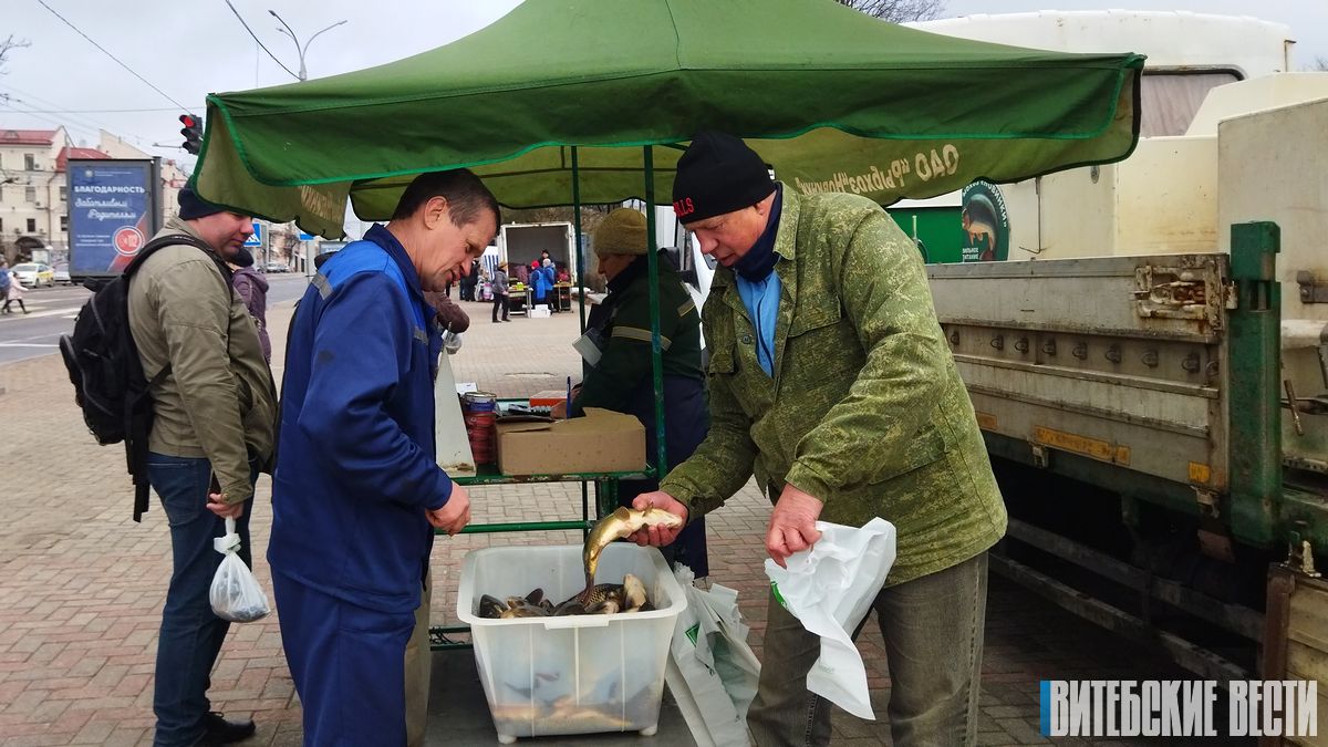 Рыба, картофель, свежая зелень, мед – чем еще балует жителей Витебска первая сельскохозяйственная ярмарка нынешнего сезона?