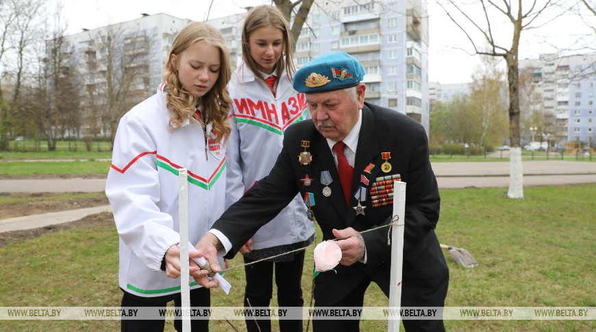 ФОТОФАКТ: Яблоневый сад заложили в Витебске