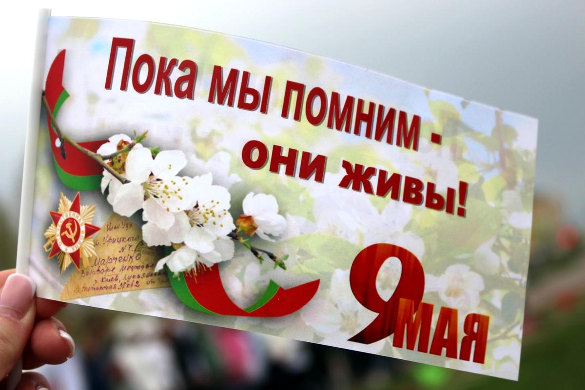 Сиреневая аллея в честь Великой Победы появилась в Витебске 