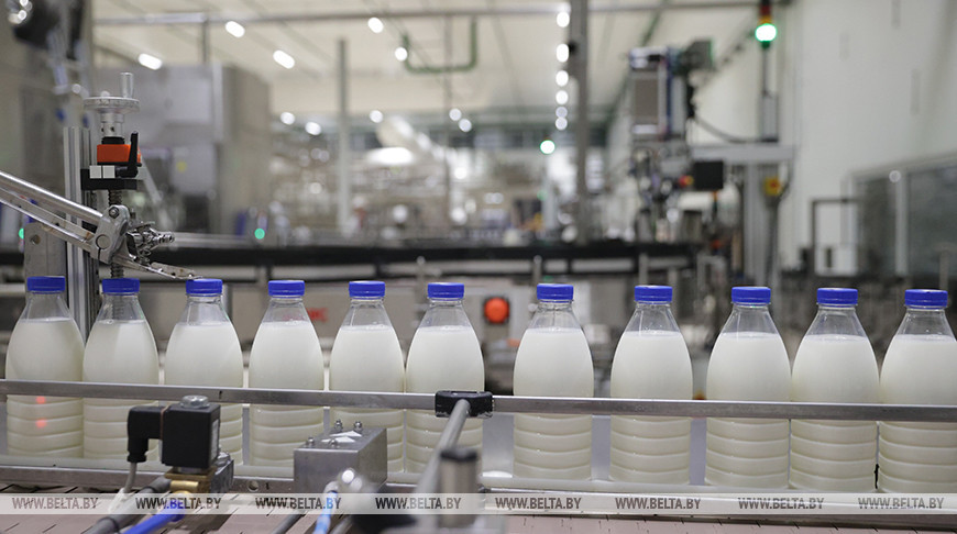 Минсельхозпрод: 80% молока производится на современных комплексах 
