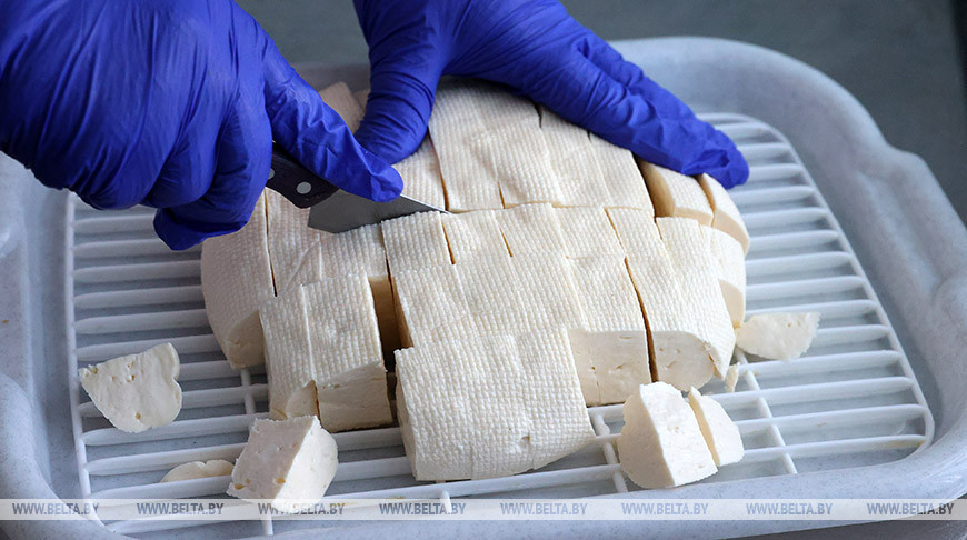 Продукцию белорусских производителей представили на сельхозвыставке в Египте