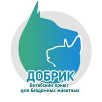 В Витебском приюте для бездомных животных ждут добрых и ответственных владельцев