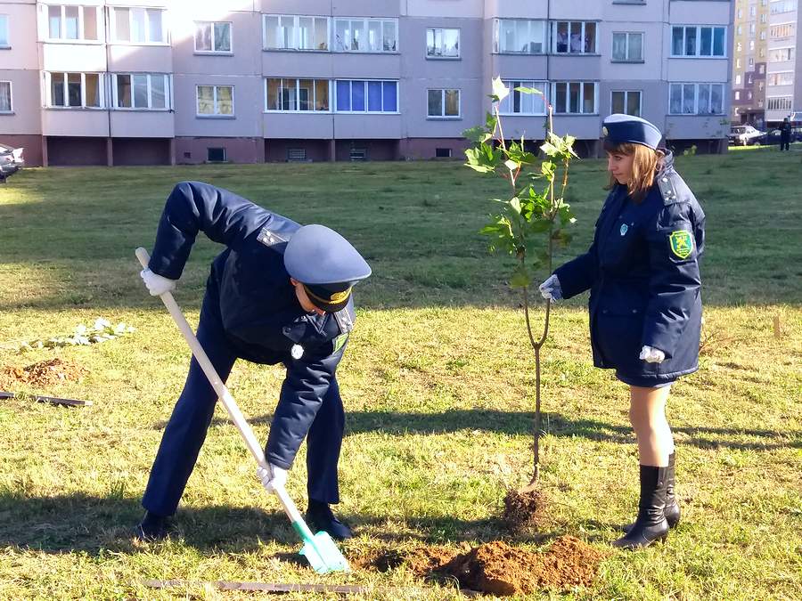 Бульвар таможенника вскоре появится в Витебске