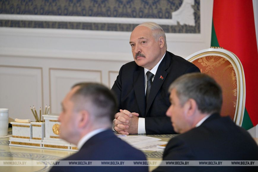 Лукашенко предложил механизм совместной работы государственных и частных фармпредприятий