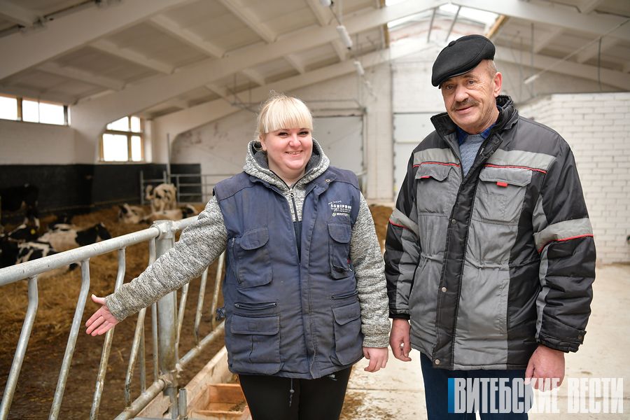 В Толочинском райагросервисе в текущем году на 50% увеличили надои на одну корову по сравнению с 2019-м