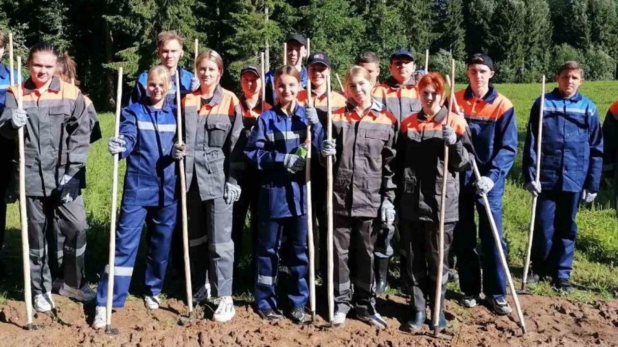 Прополка и уход за деревьями – молодежь активно помогает лесхозам Витебской области