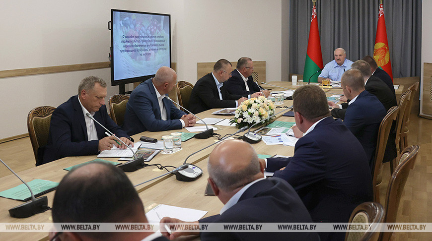 "Дом будет в 10 раз дешевле". Александр Лукашенко предложил схему решения жилищного вопроса на селе