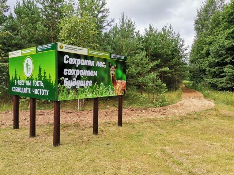 Как организована охрана лесного фонда Витебской области от пожаров? 