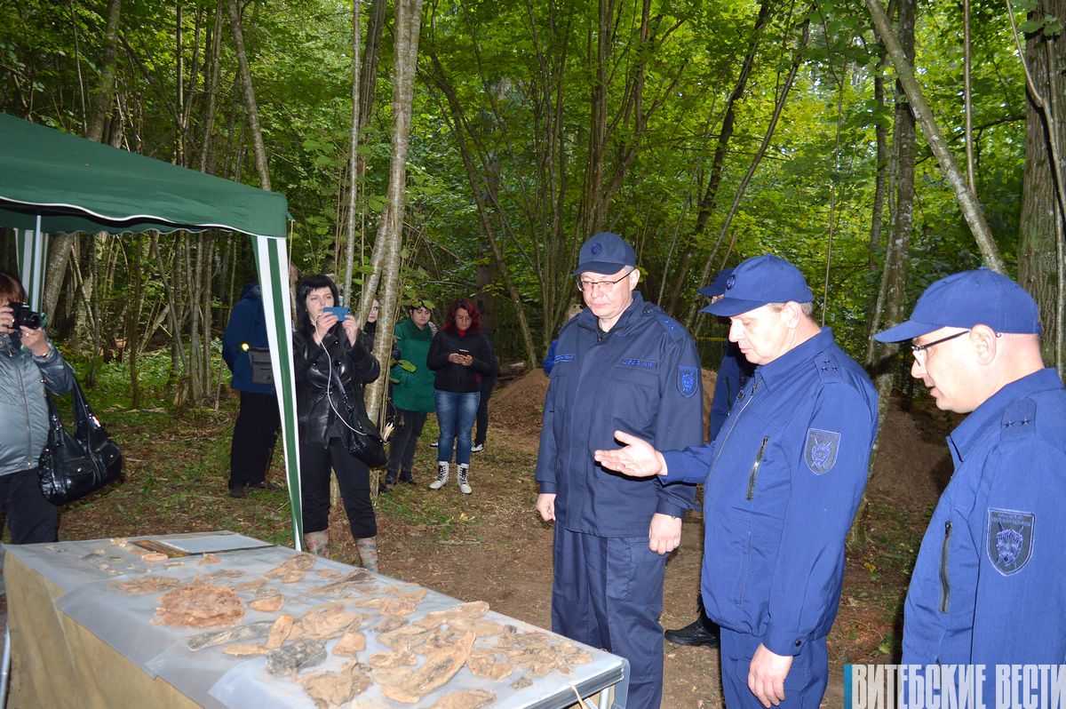 В Бешенковичском районе обнаружено ранее неизвестное место расстрела мирных жителей в годы Великой Отечественной войны