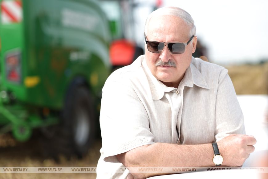 Лукашенко ориентирует на получение в Беларуси урожая маслосемян рапса около 1 млн тонн