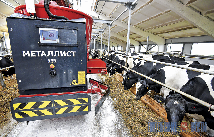 Китайская корпорация готова инвестировать миллионы долларов в создание молочно-товарных ферм в Витебской области