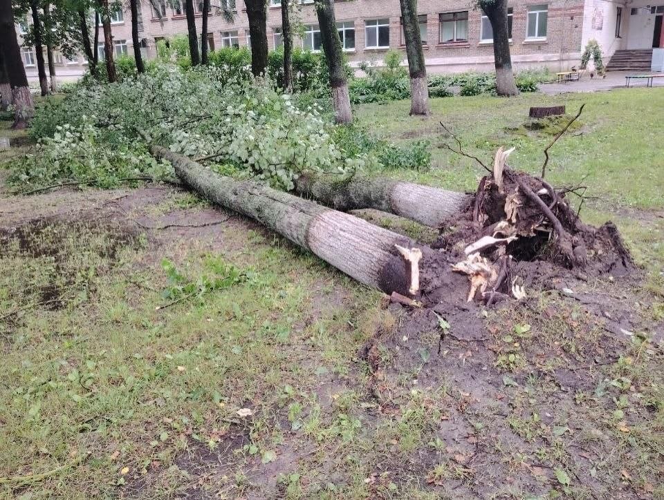 В Витебске устраняют последствия стихии