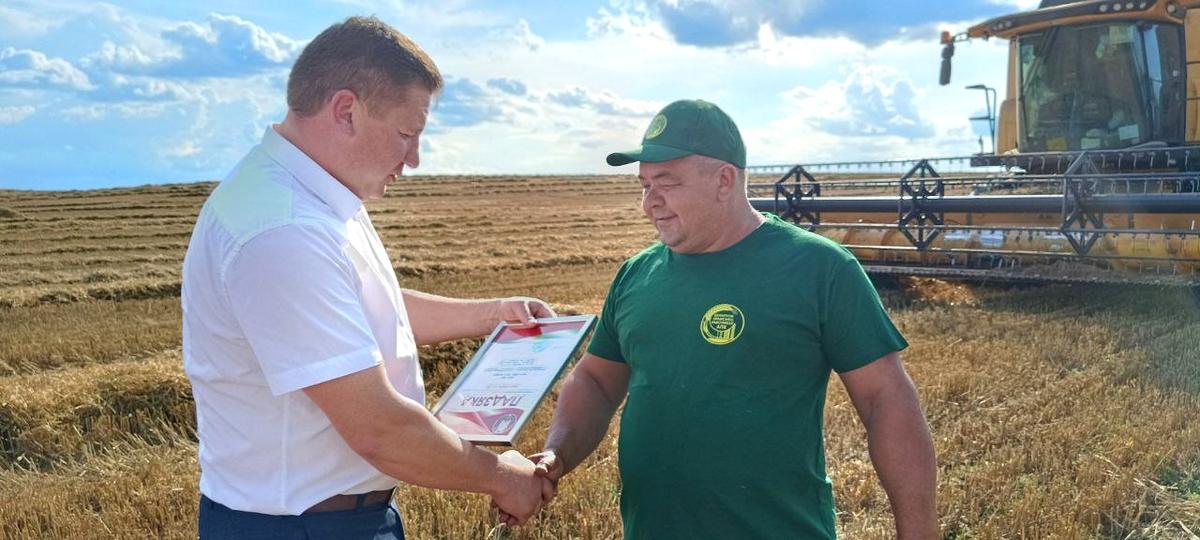 "В поле задолго до того, как спадет роса": Как проходит уборка урожая в Верхнедвинском районе? 