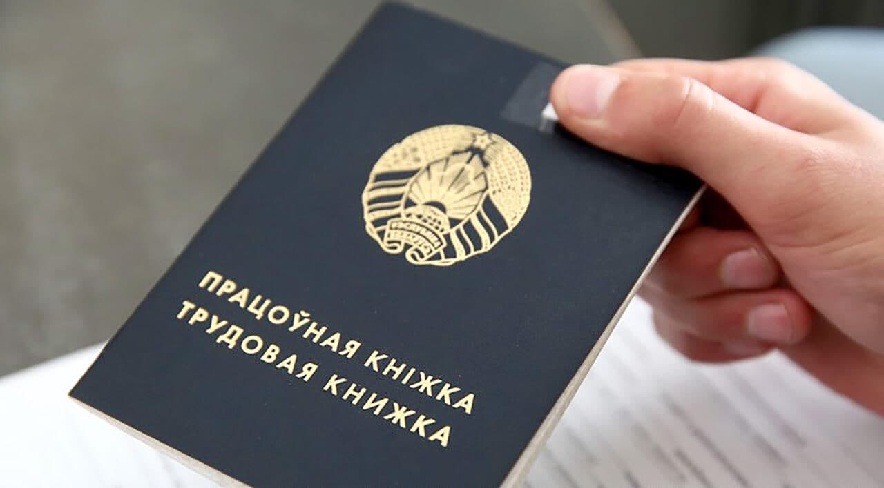 В Витебской области за 4 месяца 2021 года оказано содействие в трудоустройстве 477 гражданам, особо нуждающихся в соцзащите